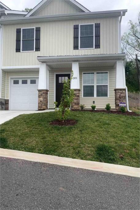 Newly Built Townhome Close To The Asheville Sites Candler Екстер'єр фото